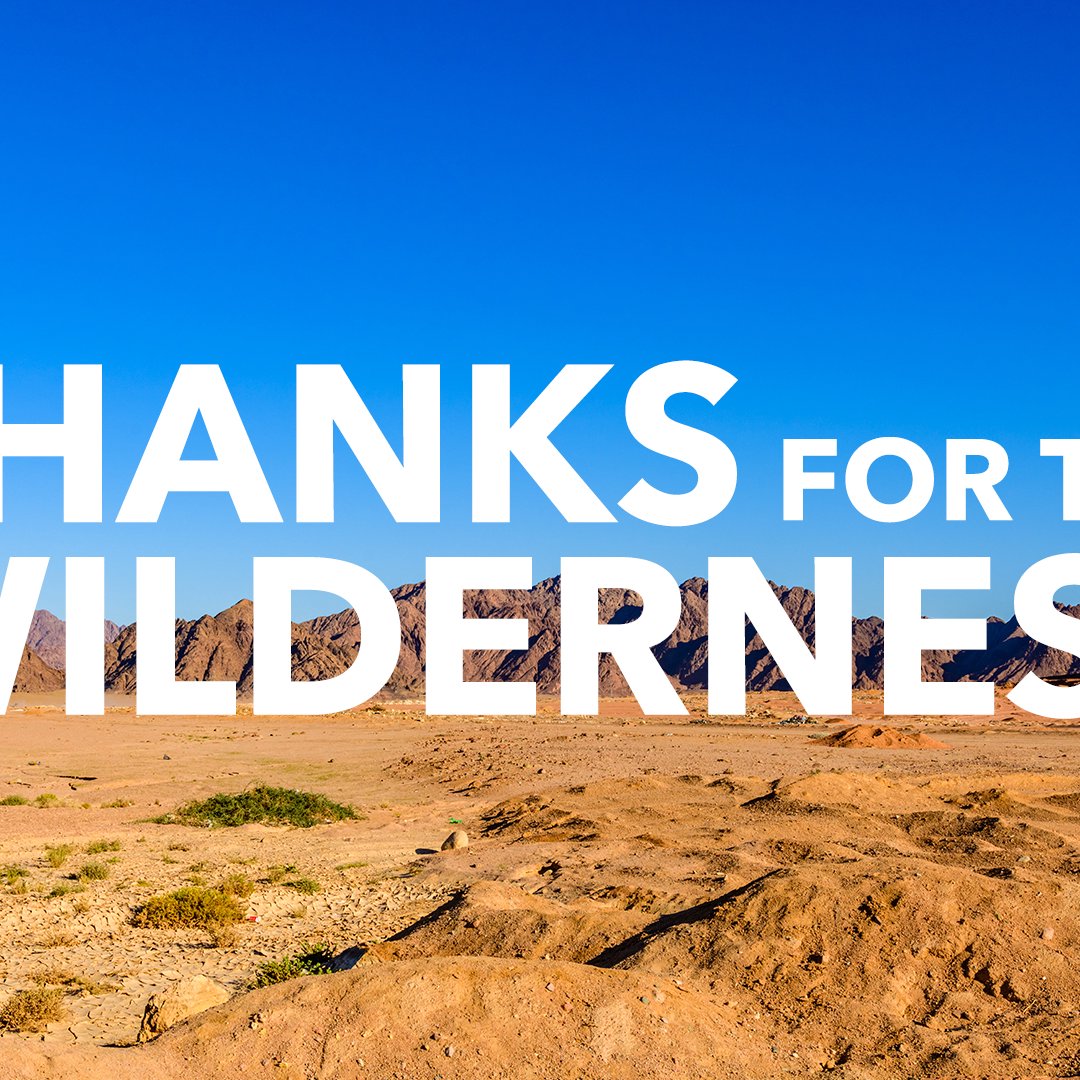 Thanks For The Wilderness