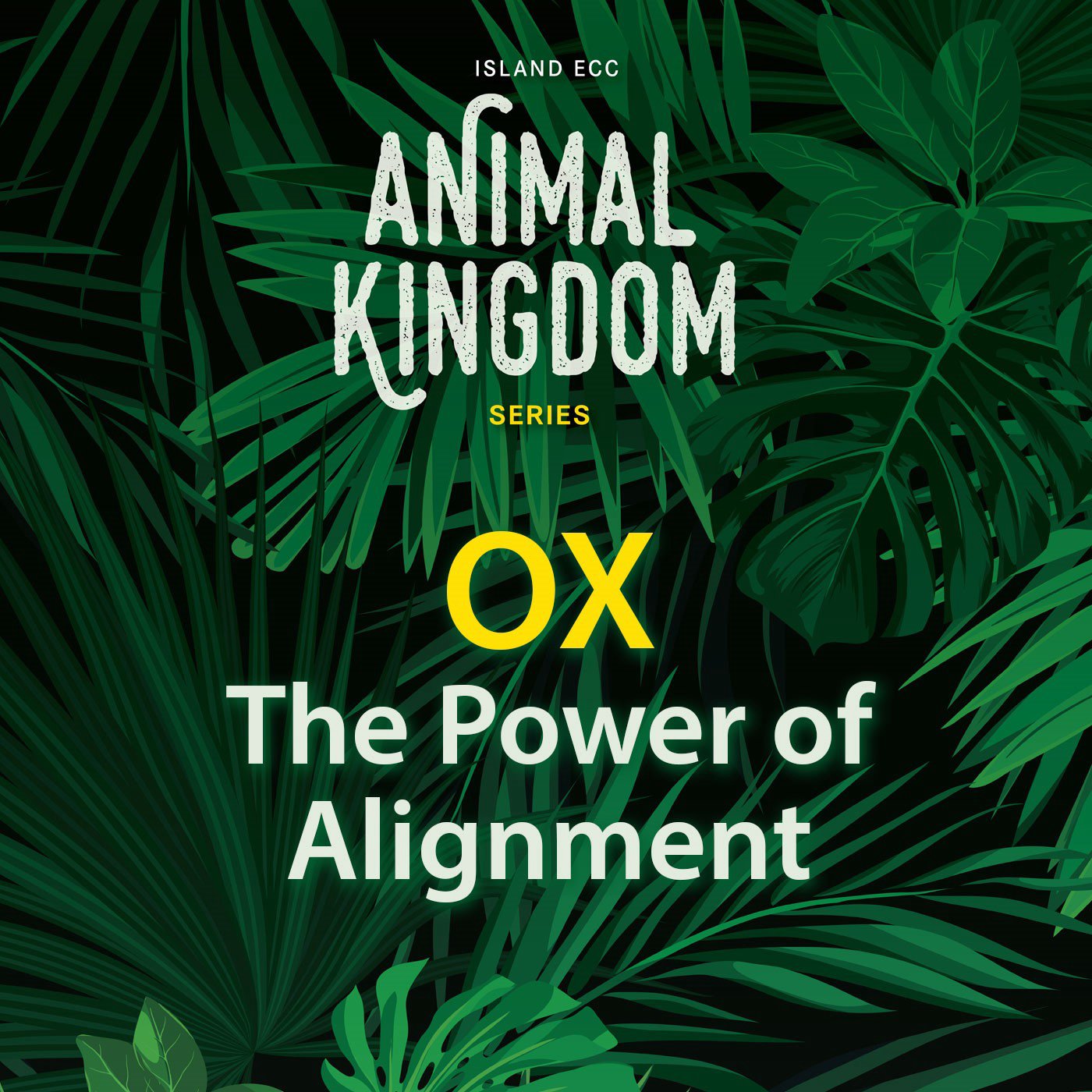 Animal Kingdom: Ox - The Power of Alignment episode artwork