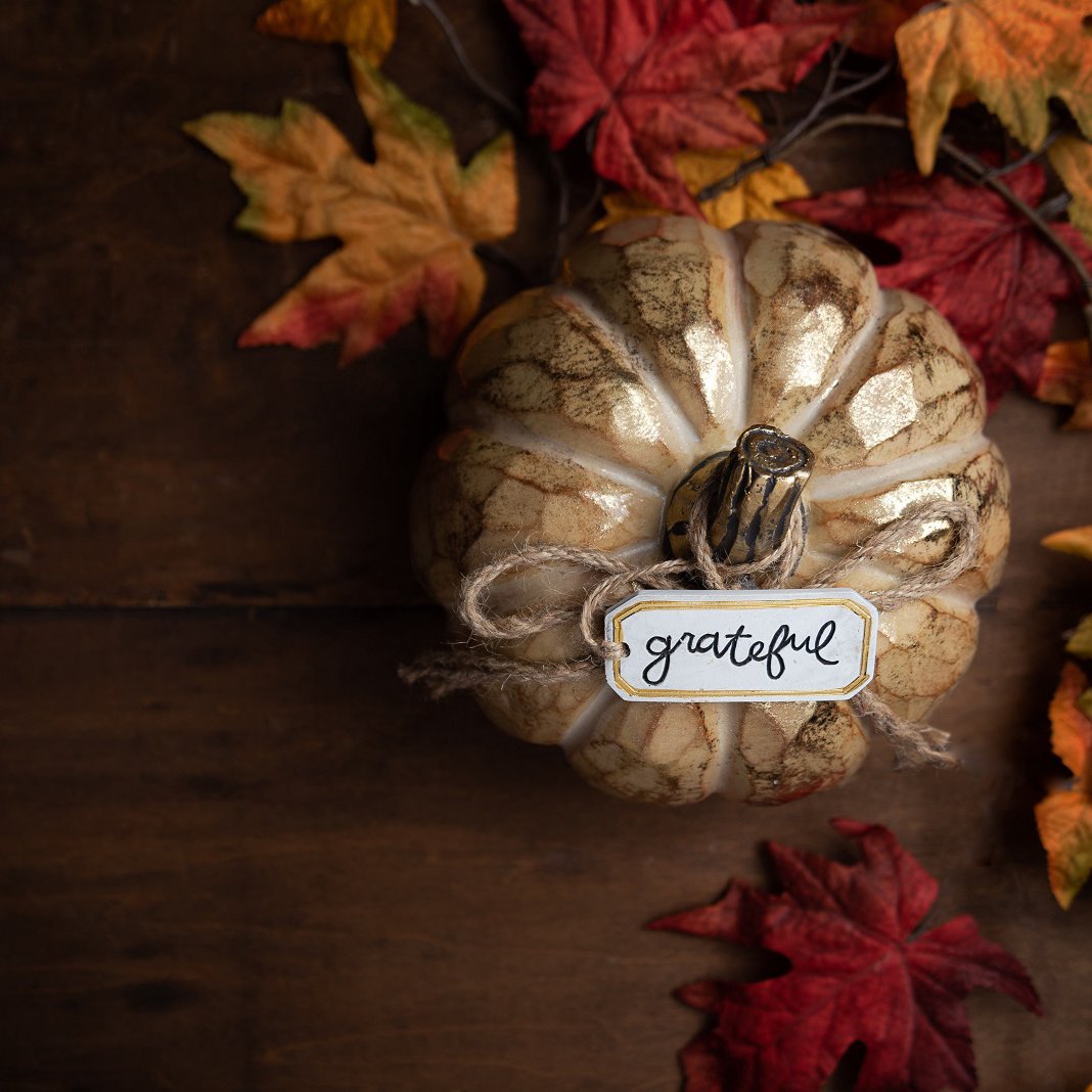 Wisdom in Thanksgiving episode artwork