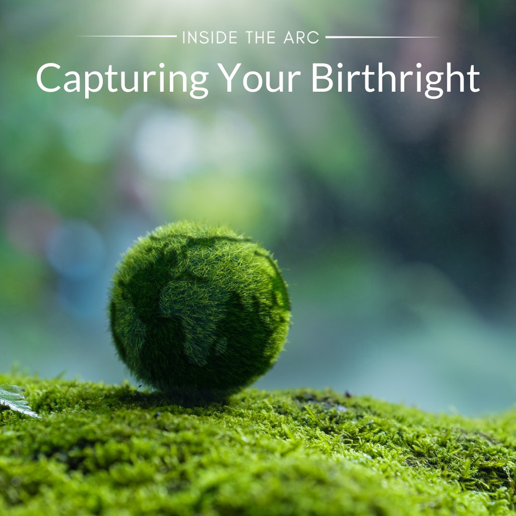 Capturing Your Birthright /// Inside The ARC episode artwork