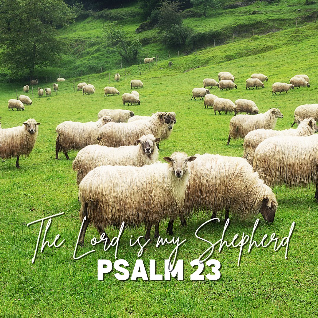 Family Church PC - Weekly Sermons