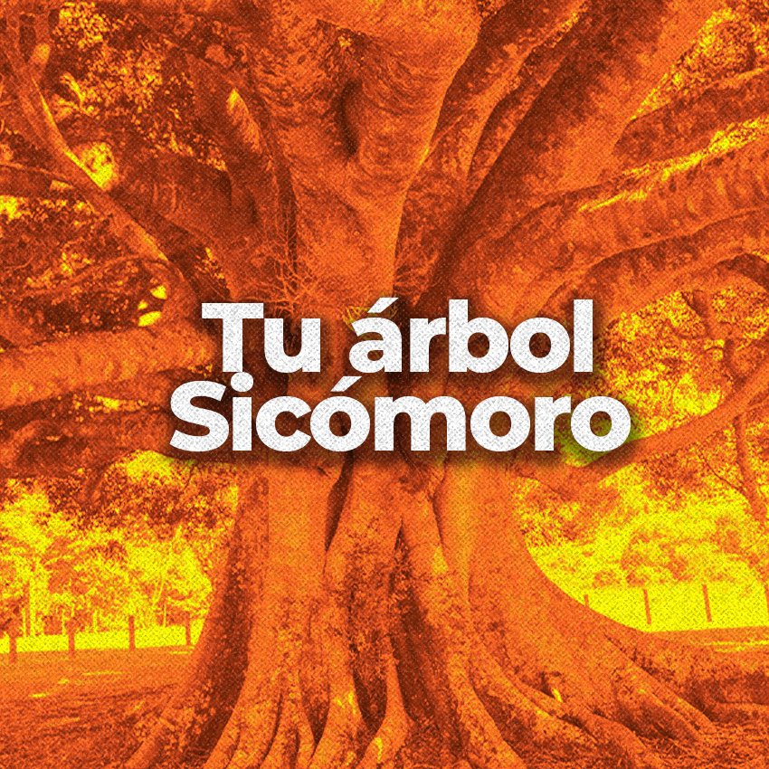 El Podcast de Andres