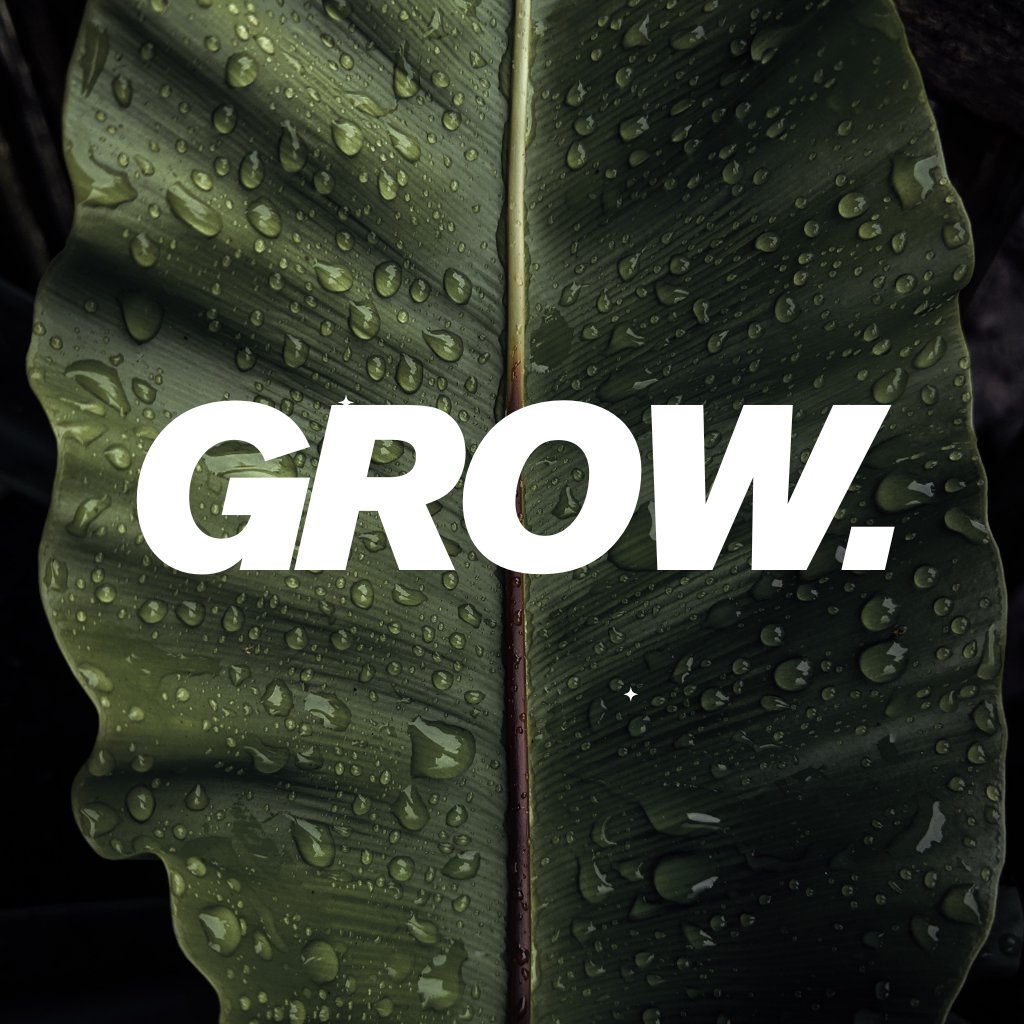 Grow episode artwork