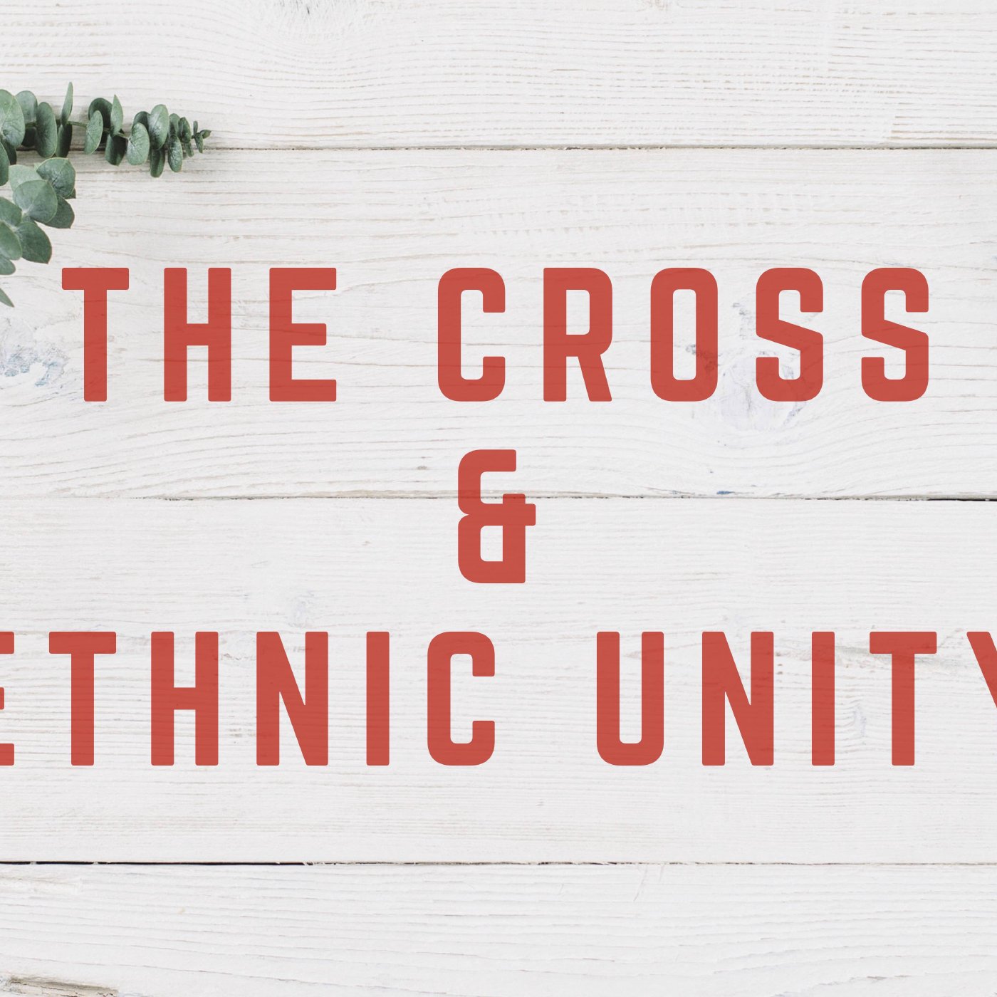 The Cross & Ethnic Unity episode artwork