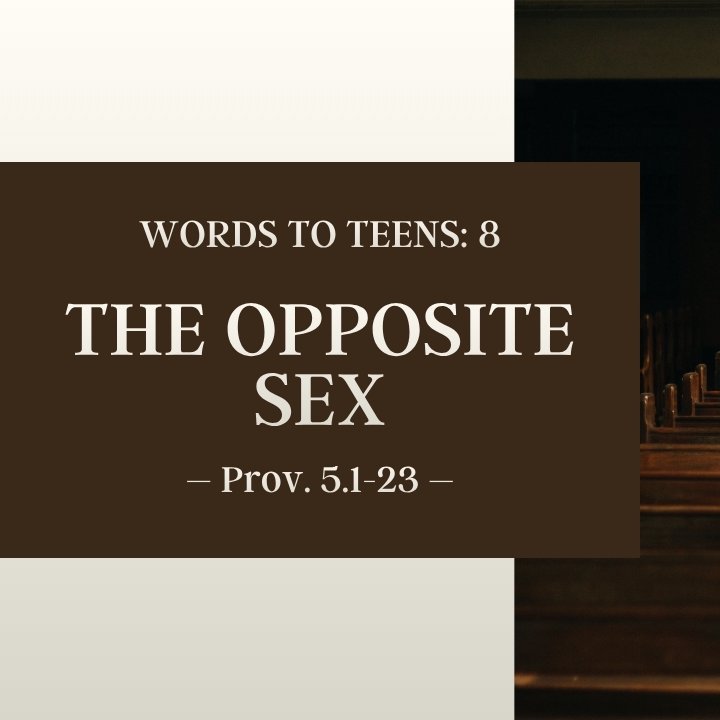 The Opposite Sex | Words to Teens #8 episode artwork