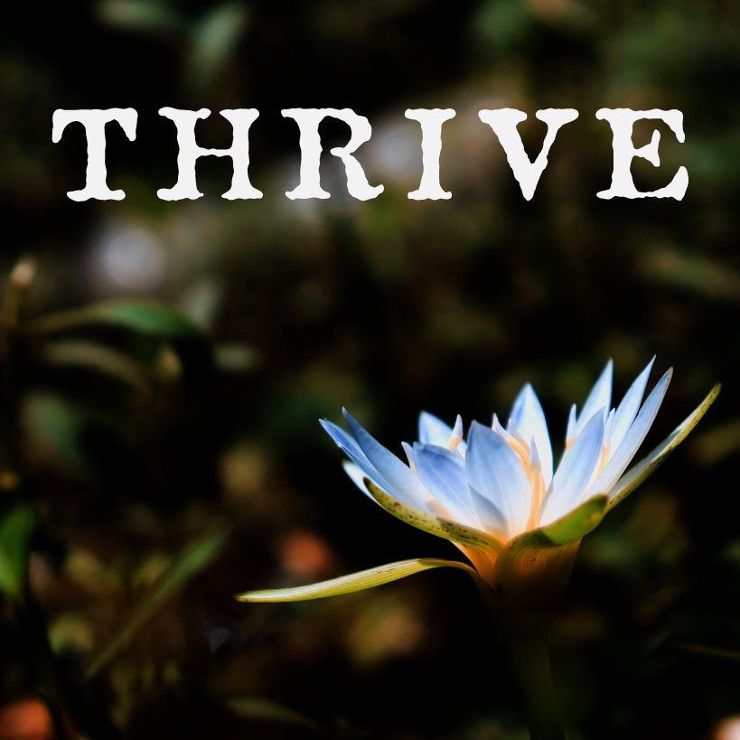 Thrive episode artwork