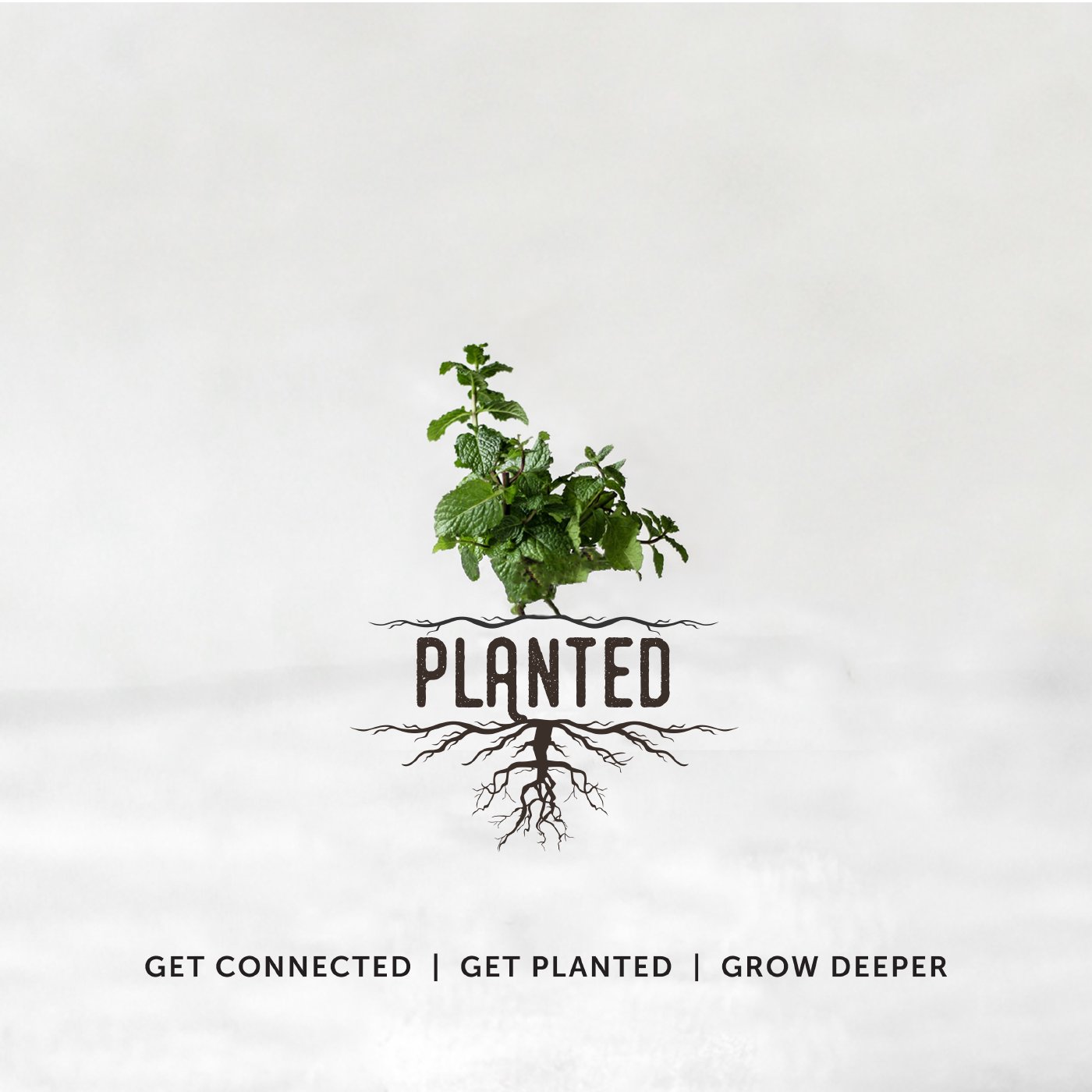 Planted episode artwork