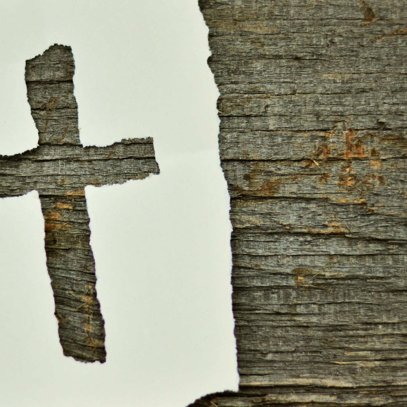 Matthew 17 - Is your faith real? episode artwork