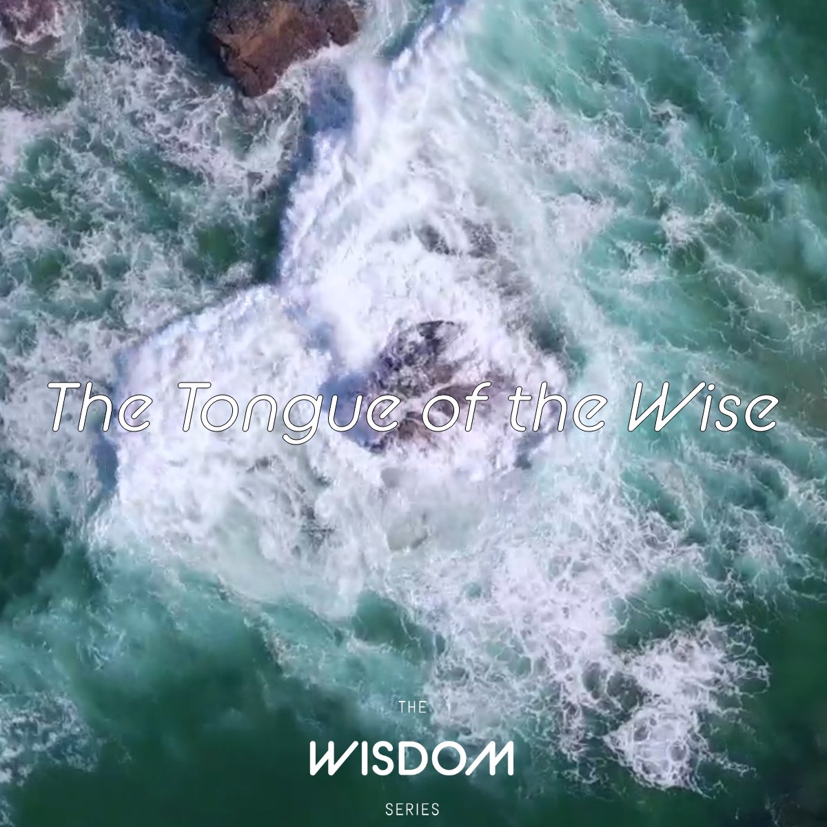 The Tongue of the Wise episode artwork