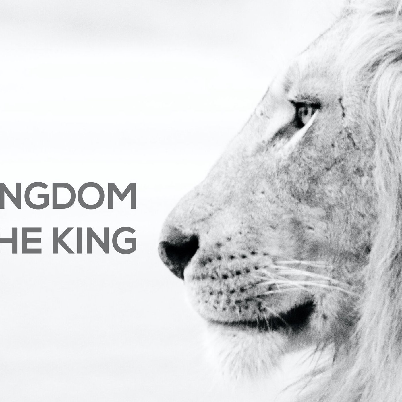 The Kingdom and The King - Week 4 episode artwork