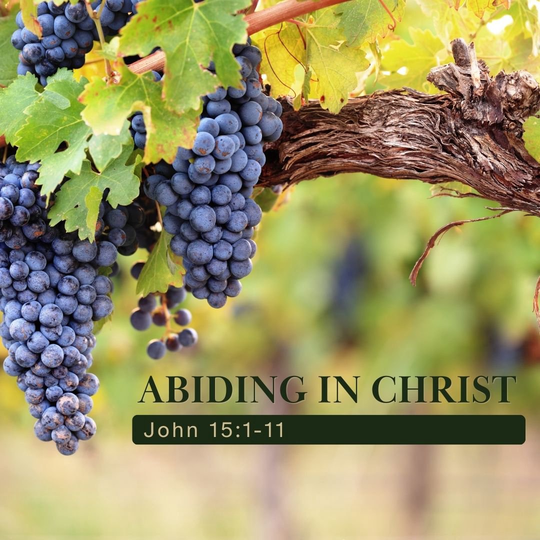 John 15:1-11 - Abiding In Christ