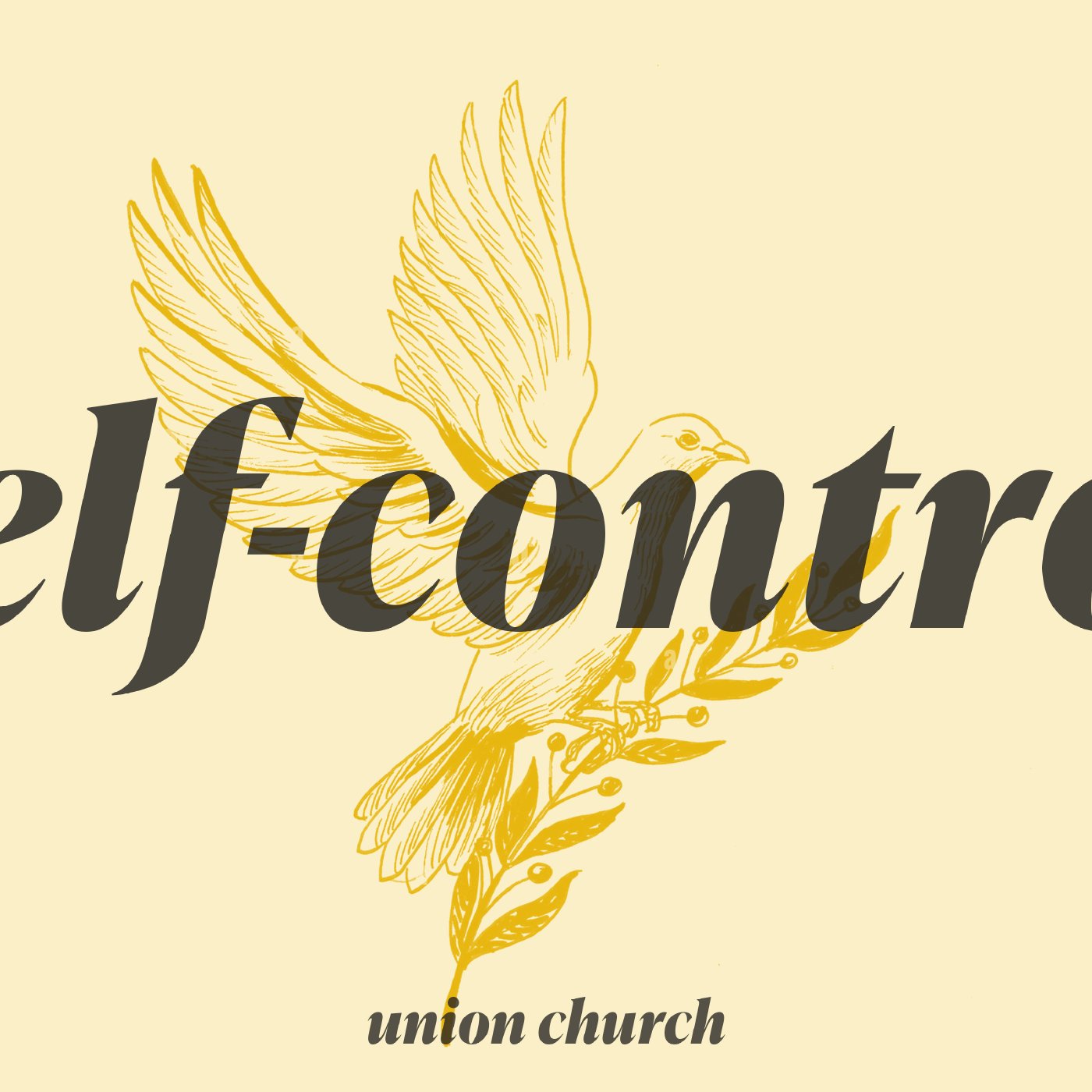 Self Control (Noah Illig) episode artwork