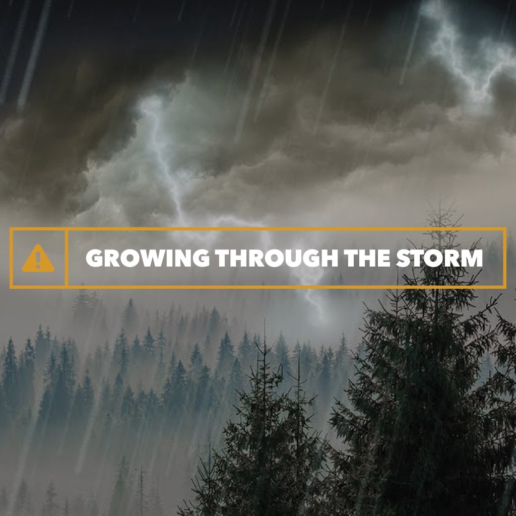 Growing Through the Storm episode artwork