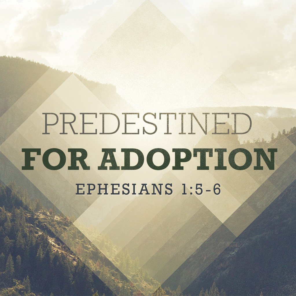 Predestined for Adoption episode artwork