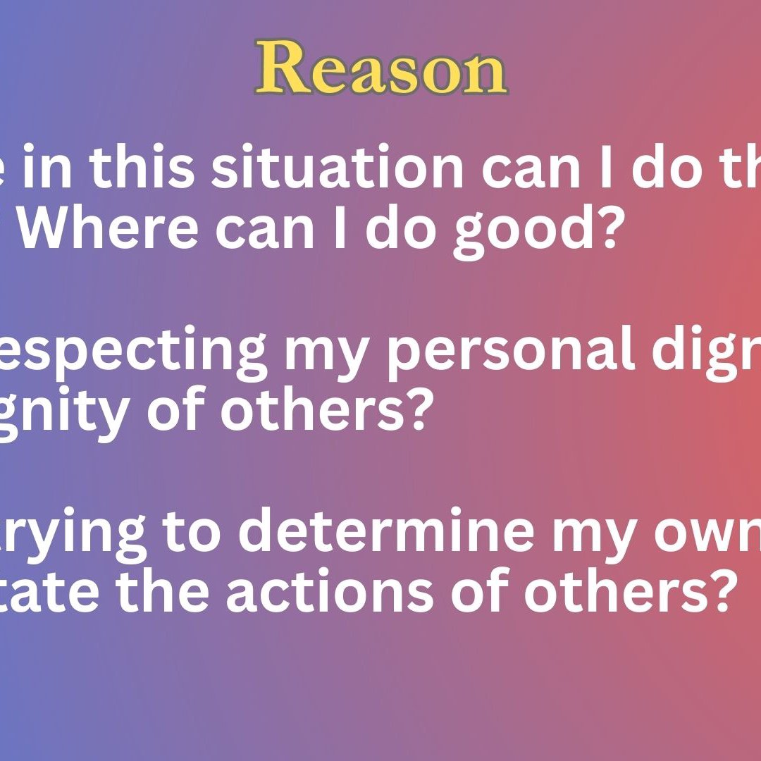 Special: Talk Politics // Reason episode artwork