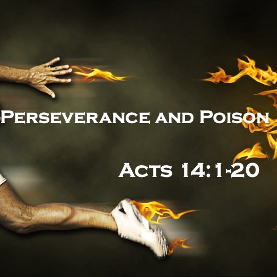 Poison and Perseverance Acts 14: 1-20 episode artwork