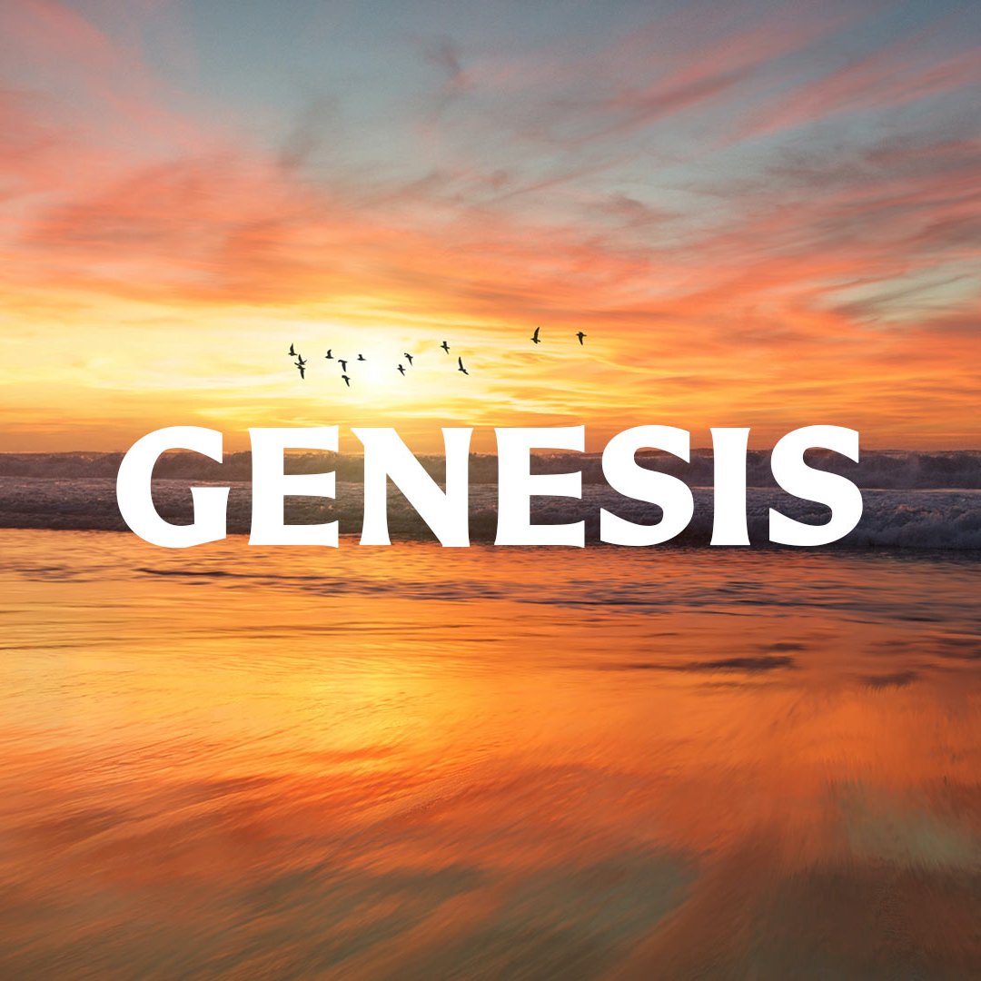 Genesis 16