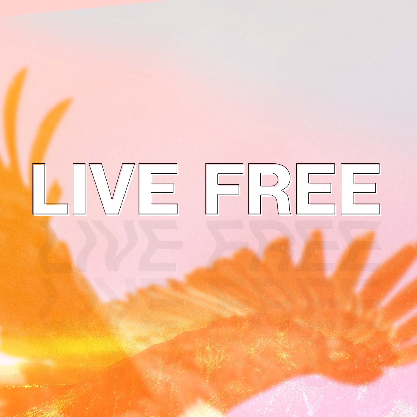 Live Free | Part 2 episode artwork
