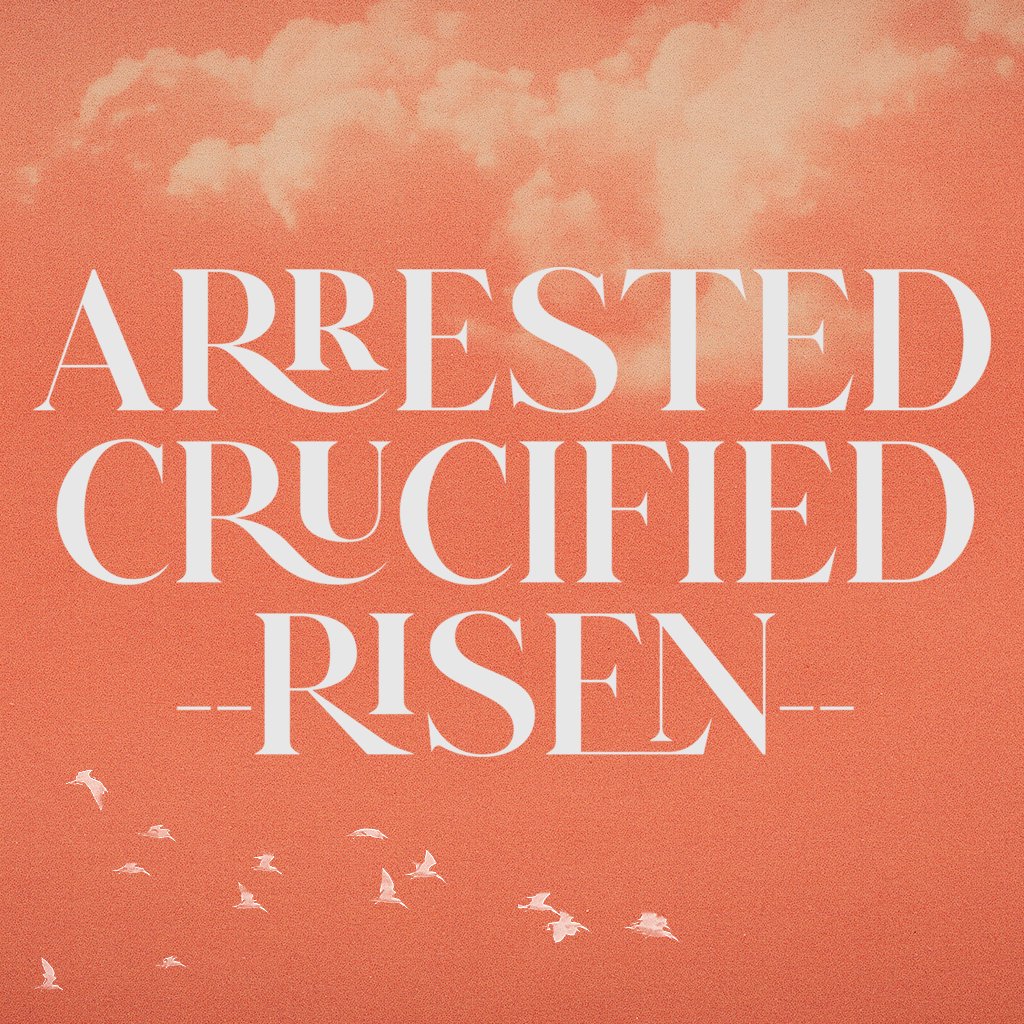 The Birth of the Church // Acts 1-2 episode artwork