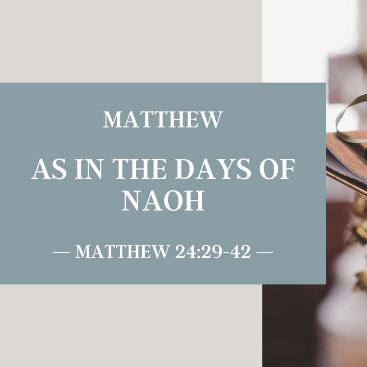 As in the Days of Noah | Matthew episode artwork