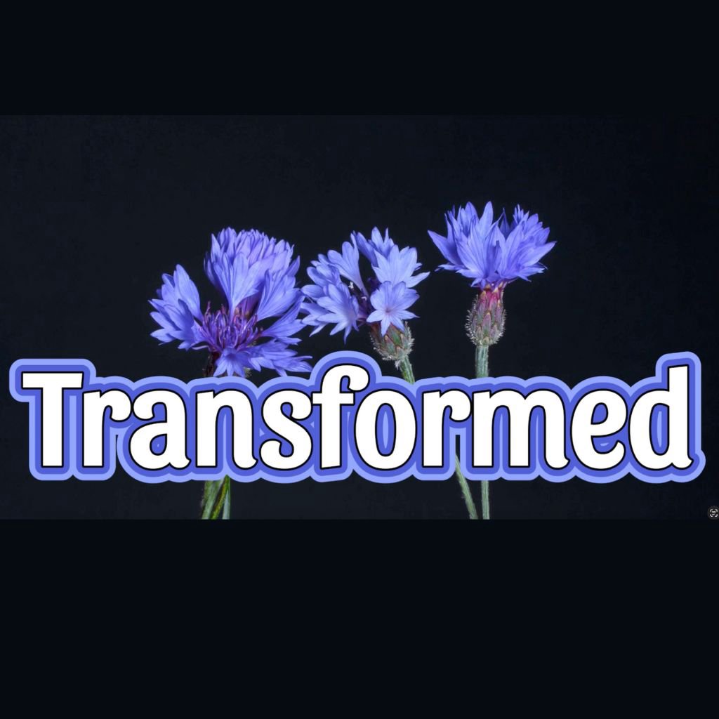 Westside Christian Church - Sunday Messages