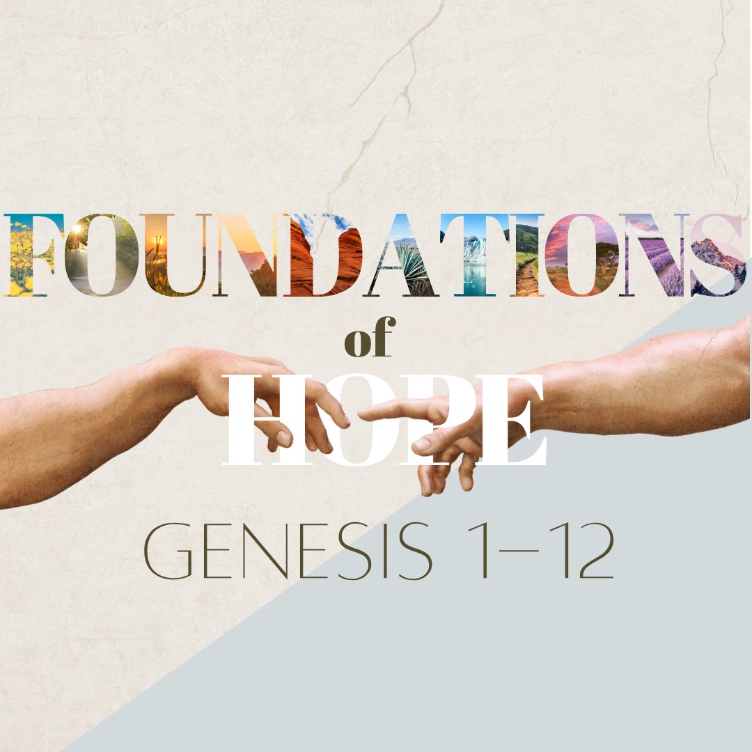 Sunday 9 November 2025