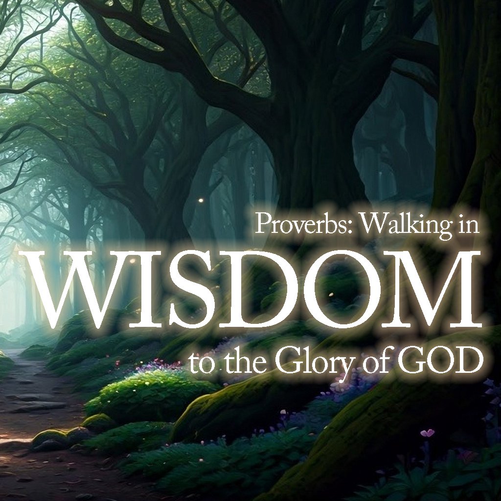The Beginning of Wisdom (Madison) episode artwork