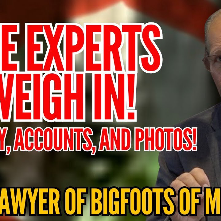 L.A. Marzulli Insights