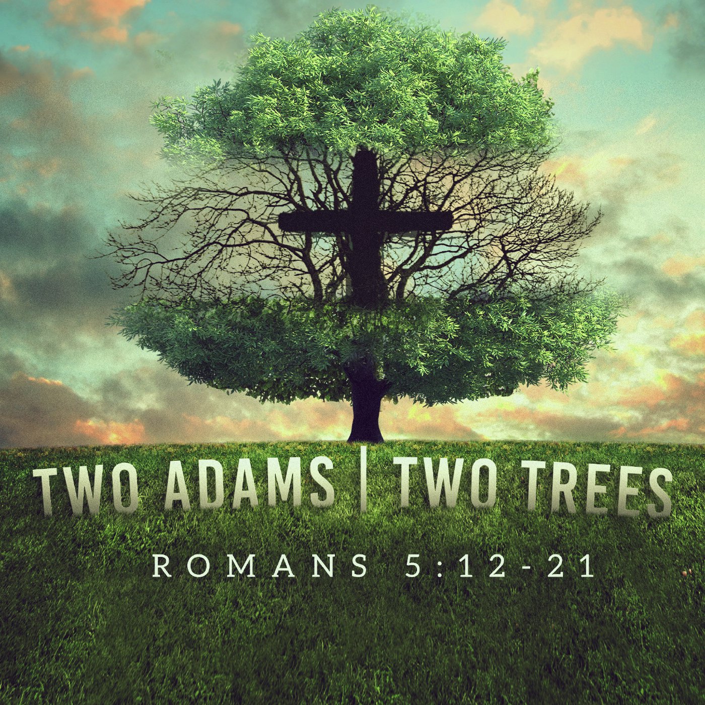 ROMANS SERIES