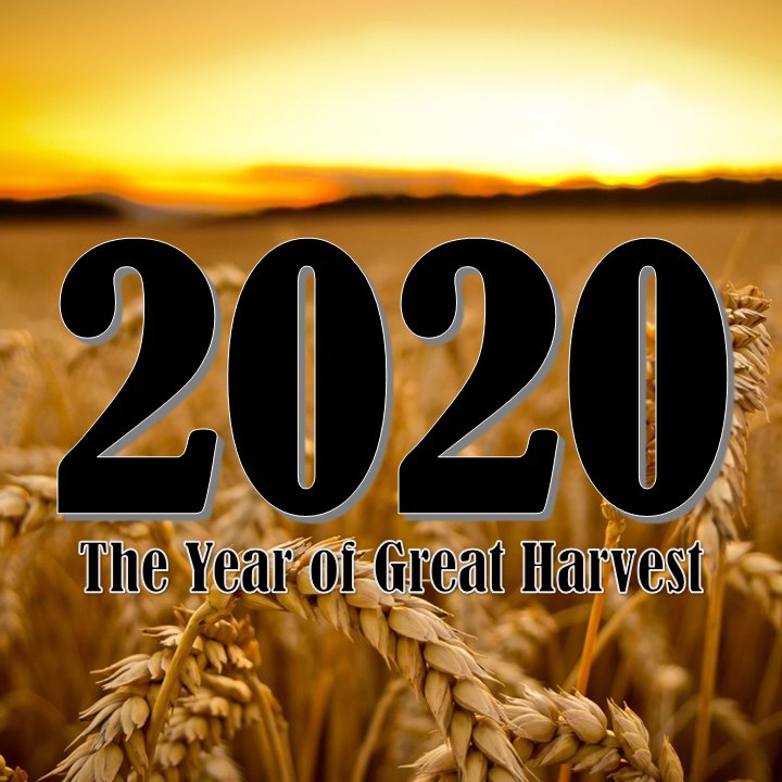 2020 The Year of Great Harvest. P3 episode artwork