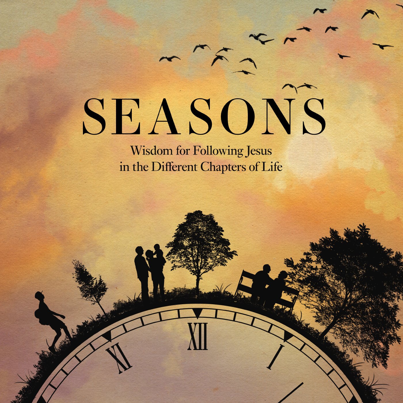 Wisdom for the Young episode artwork