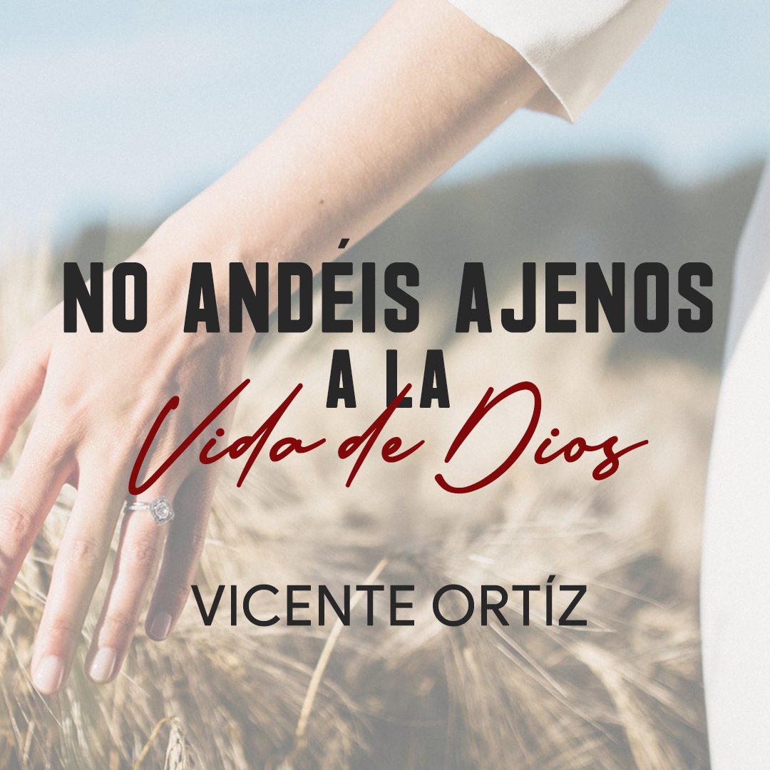 No Andéis Ajenos a la Vida de Dios episode artwork