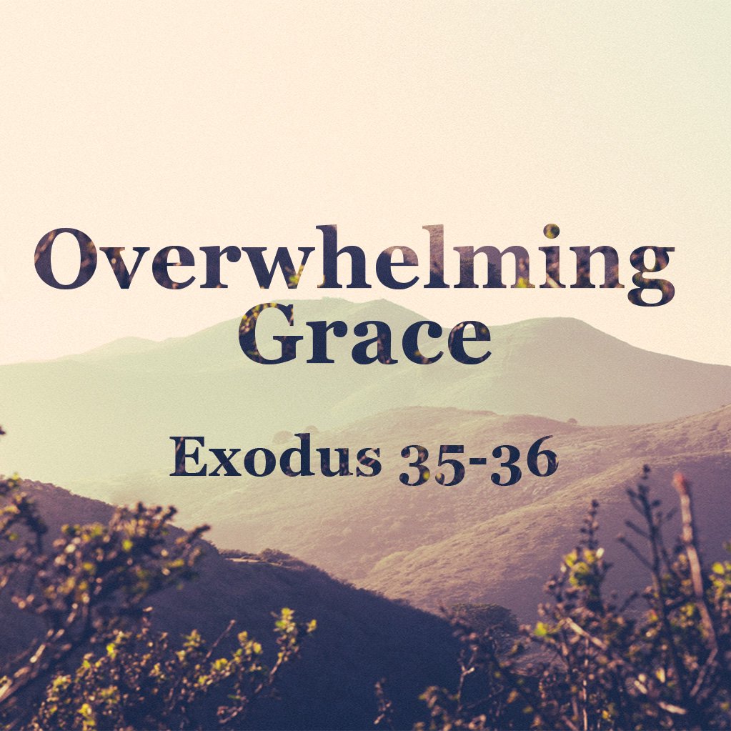 Overwhelming Grace episode artwork