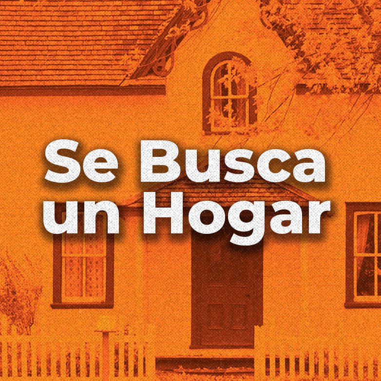 El Podcast de Andres