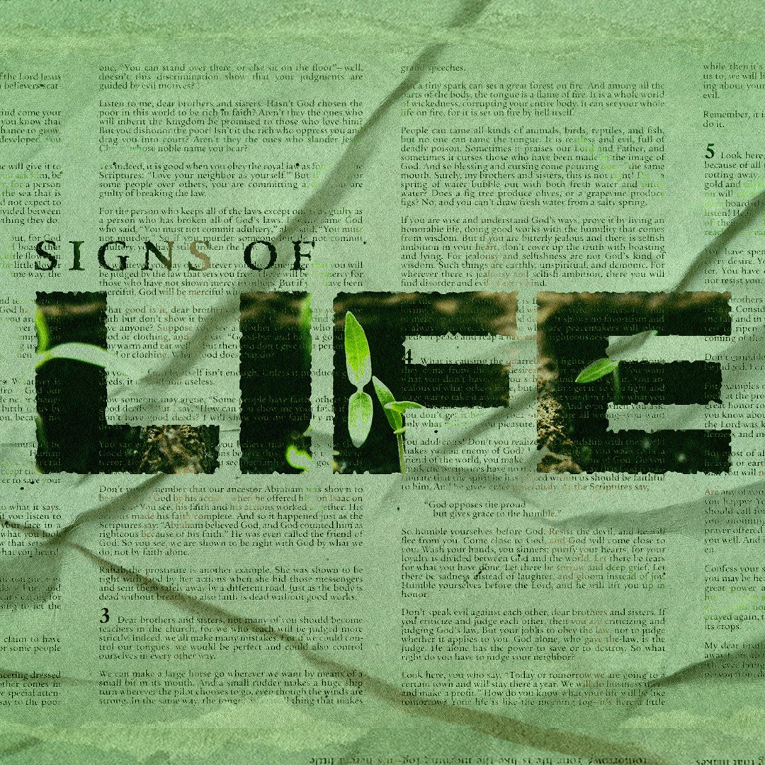 Friendly Fire episode artwork