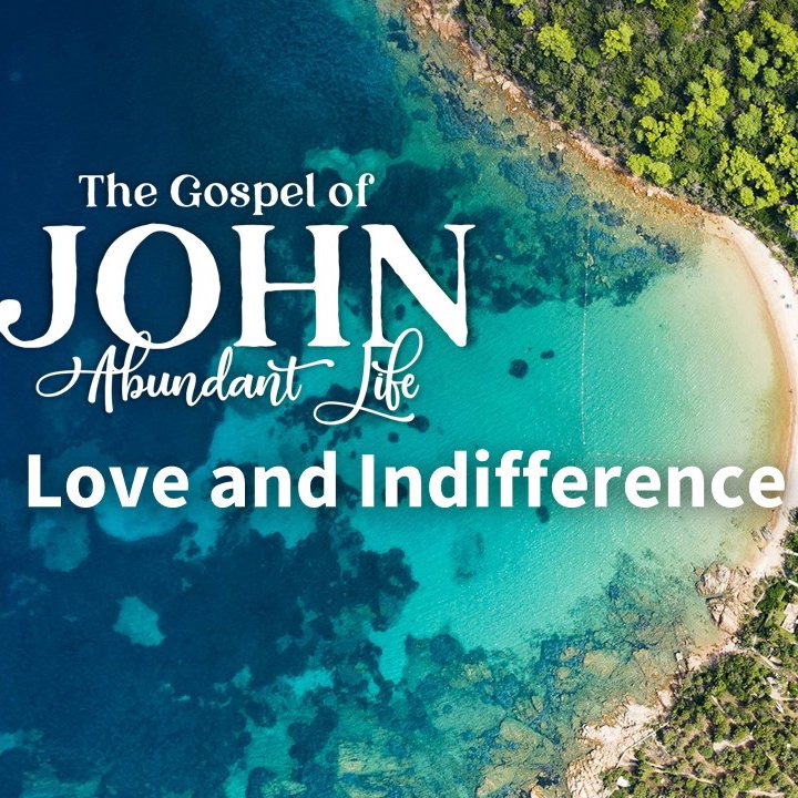 Love and Indifference episode artwork