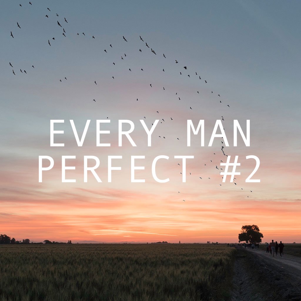 Every Man Perfect #2 - Our Lives Are Not Our Own episode artwork
