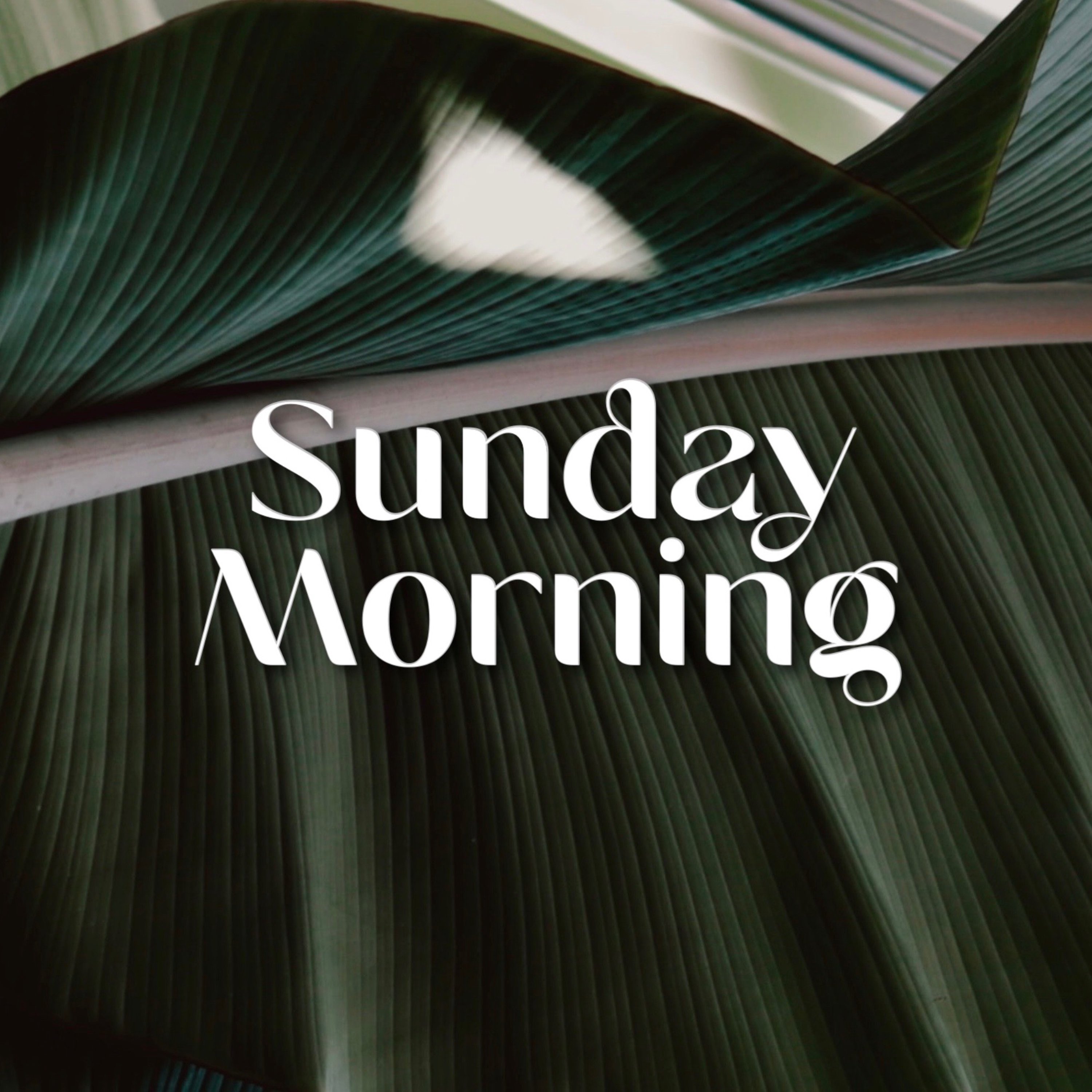 Calvary Chapel Laguna Creek - Sunday AM