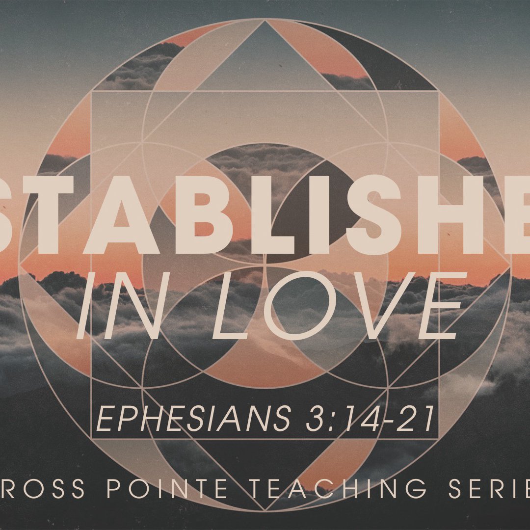 Established - Week 1