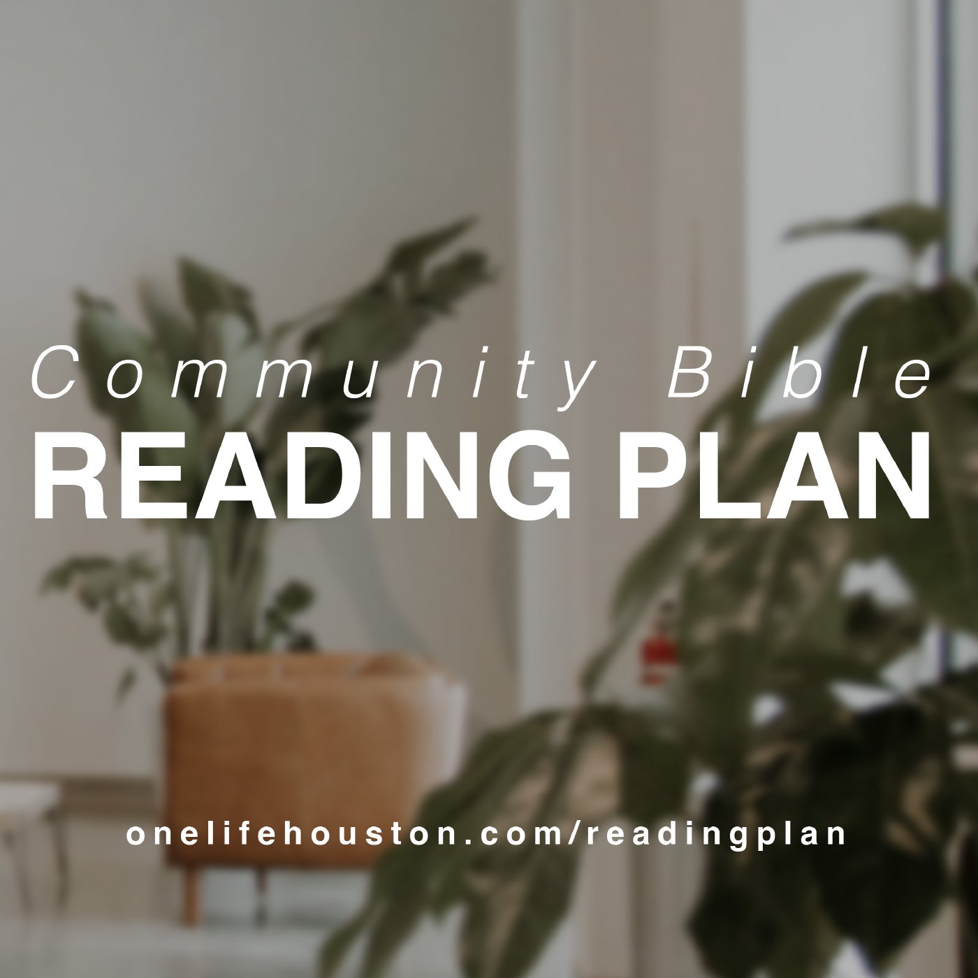 OneLife Church