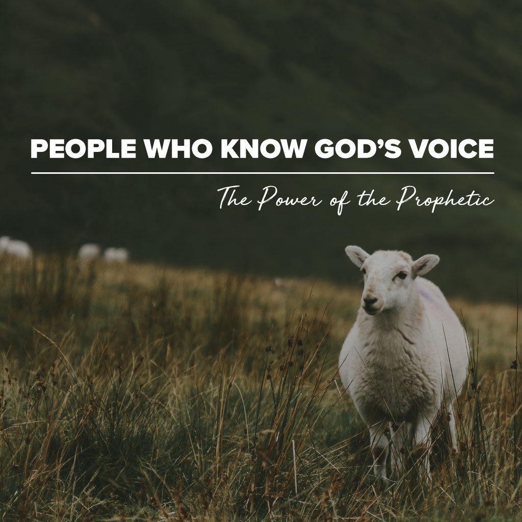 Sermon of the Week