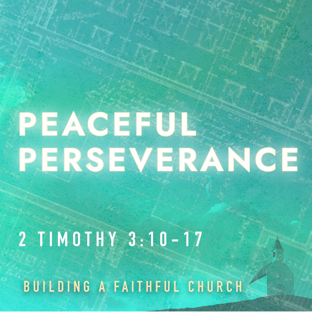 Peaceful Perseverance