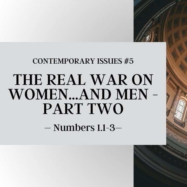 The Real War on Women...and Men - Part Two | Contemporary Issues #5 episode artwork
