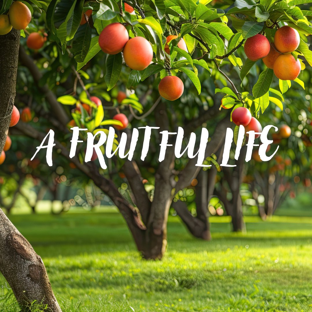 Destiny City Church Sermon of the Week