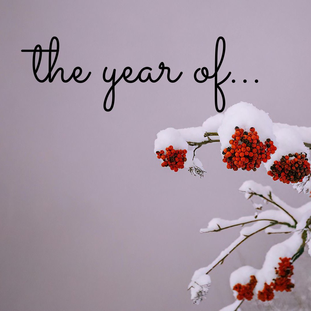 The Year Of... episode artwork