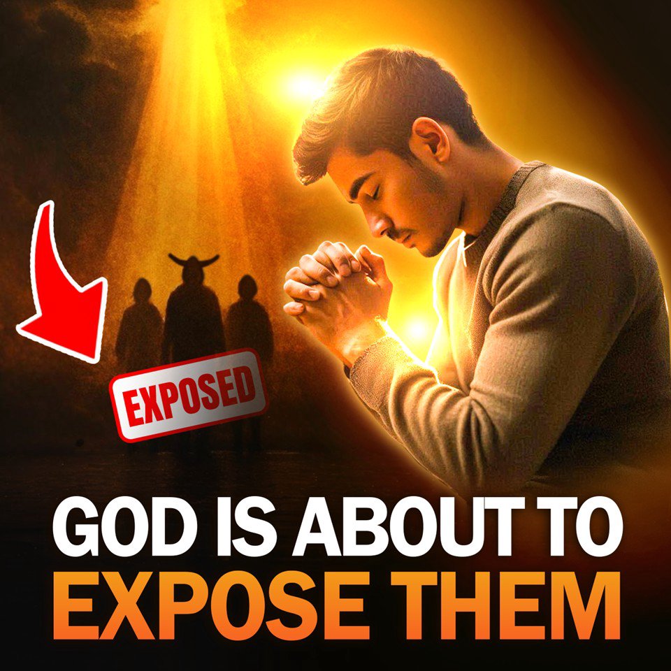 The Plot Exposed The Plot Exposed