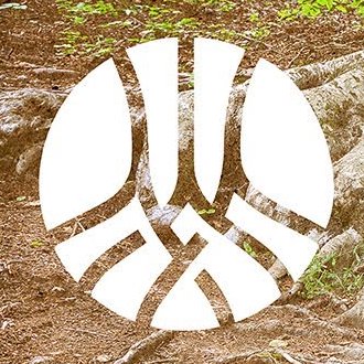 Kyla's & Megan's Rooted Stories episode artwork