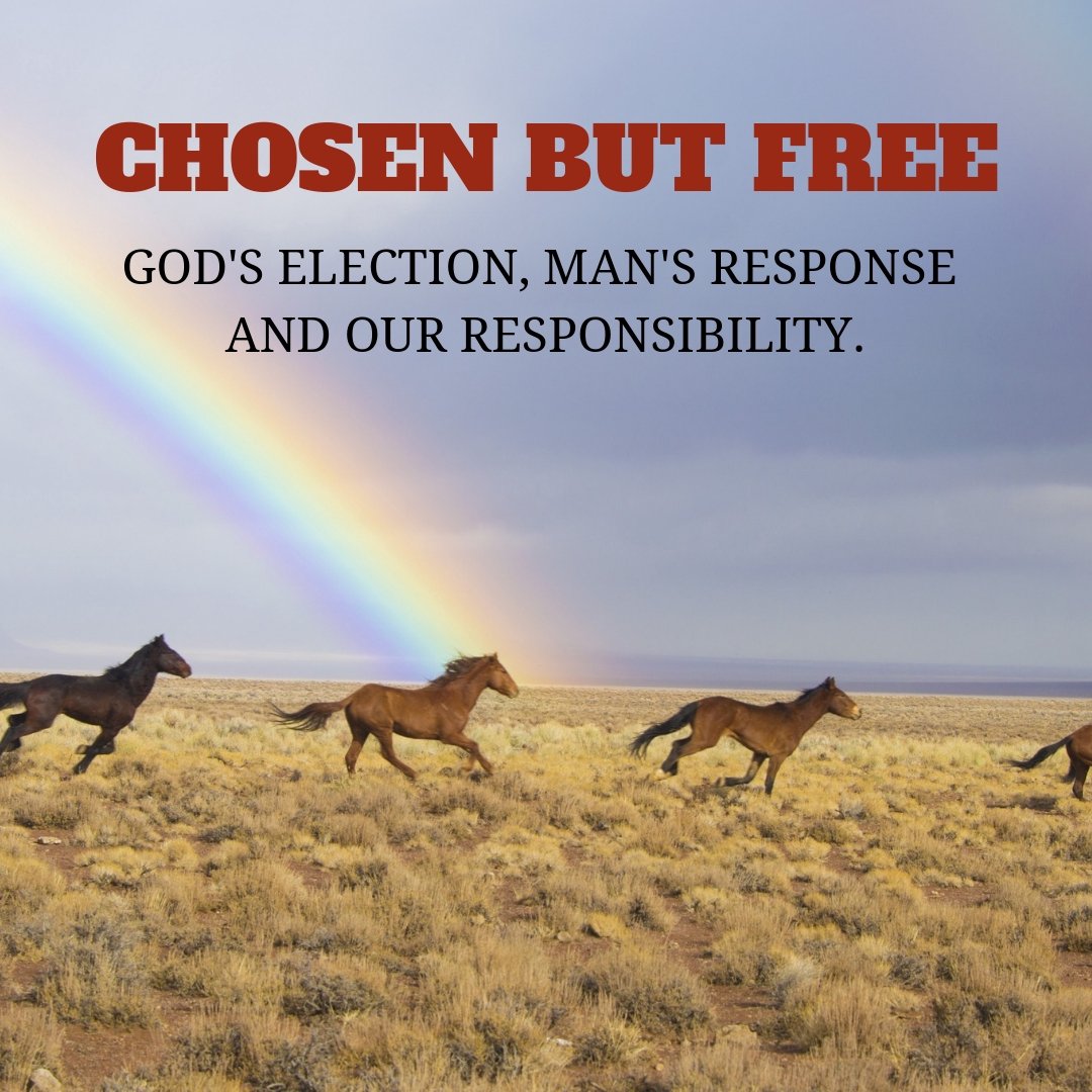 Manna Fellowship Sunday Sermons