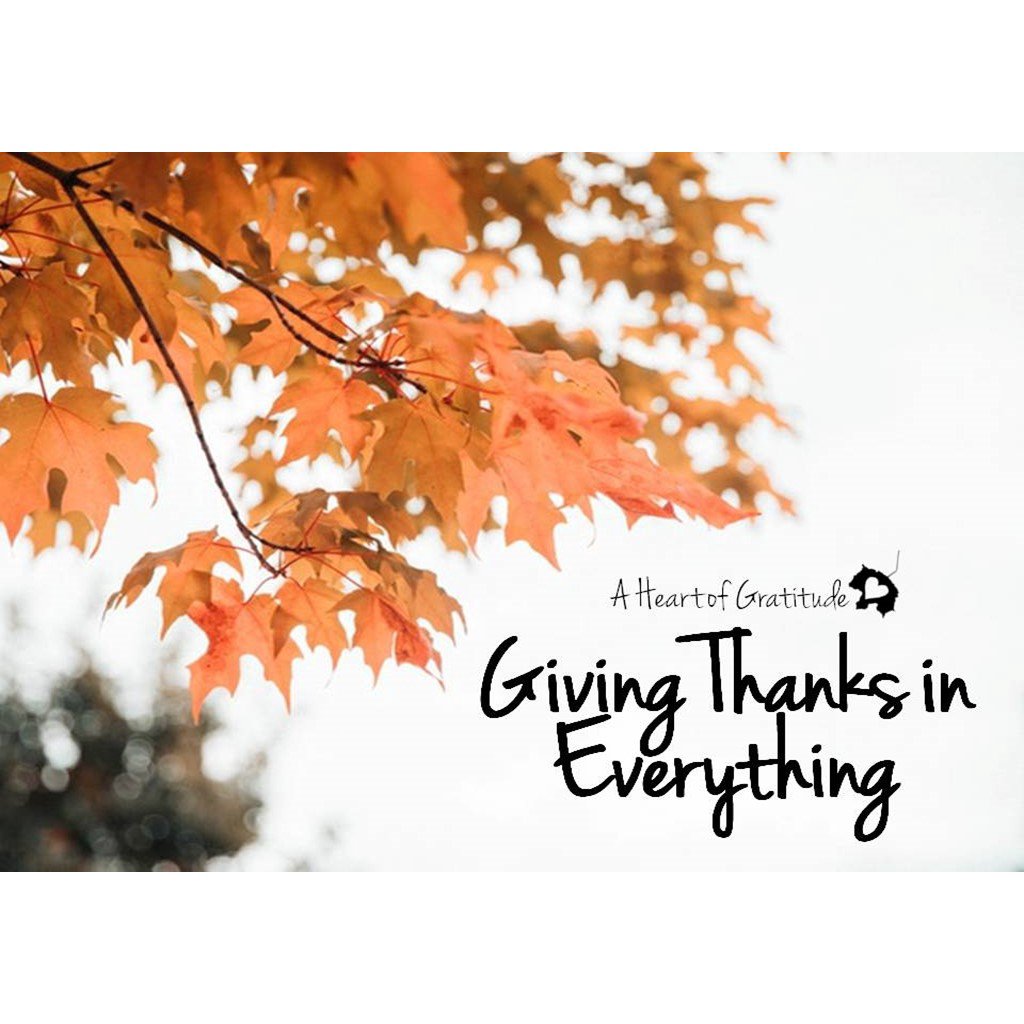 11-18-18 - Giving Thanks in Everything episode artwork