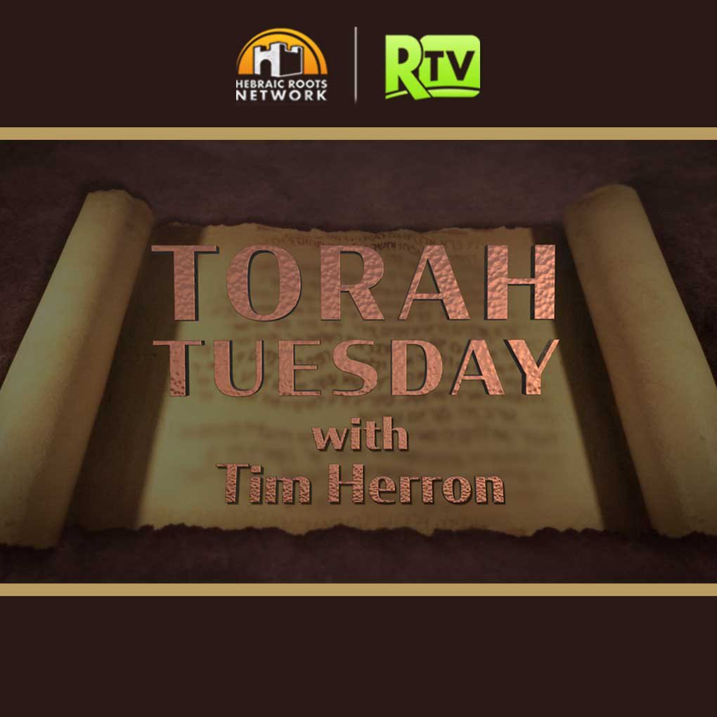 Torah Tuesday Ep 28